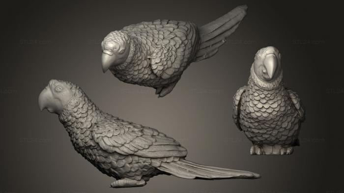 Bird figurines (Parrot Ara Green, STKB_0052) 3D models for cnc